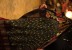IMG_2810 IMG_2810
